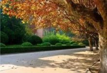 中國15所美麗的大學，你心中的大學有沒有榜上有名呢？-酷播亮新聞