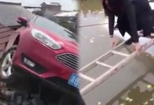 狂呀～這些妹子的駕照都是用雞腿換來的吧！-酷播亮新聞