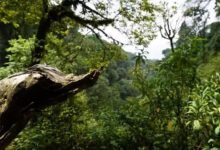 臨滄大雪山那麼多，你分得清么？-酷播亮新聞