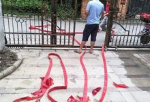 晒晒我1500萬在上海買的450平別墅，哪都好，就是鄰居讓我太尷尬-酷播亮新聞