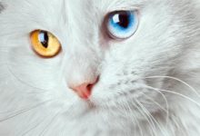 8個不可思議的冷知識！互聯網有多重？-酷播亮新聞