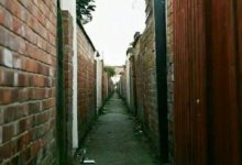 鏡頭下這6張圖裡都隱藏著一隻貓，你能都找出來嗎-酷播亮新聞