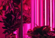 哥本哈根「Tableau」花店-酷播亮新聞