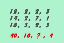 3道智力題：全部輕鬆答對，思維超出一般人-酷播亮新聞