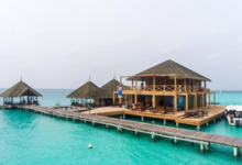 Club Med卡尼島度假村全新升級 打造歡樂度假天堂-酷播亮新聞