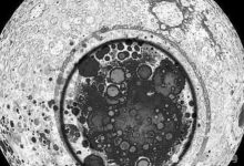 科學家發現月球存在特定規則，或印證月球是史前文明創造？-酷播亮新聞