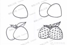 一步一步教你畫荔枝-酷播亮新聞