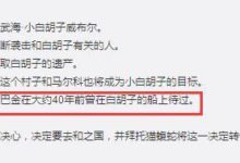 海賊王：洛克斯團又一位船員被曝光，馬爾科透露四皇誰最強！-酷播亮新聞