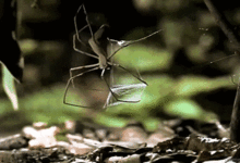 你絕對沒見過的18張圖片，世界真是太神奇了-酷播亮新聞