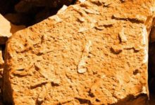 早期火星生命證據或被找到？好奇號拍到棒狀結構物，疑似蠕蟲化石-酷播亮新聞