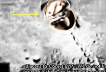 外星人也在研究太陽系形成之謎？彗星67P驚現人形UFO引科學家關注-酷播亮新聞