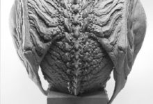 日本“異種生物原型師”大山o新作，令人嘆為觀止的克蘇魯模型！-酷播亮新聞