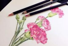 齊曉晶art《一朵永不凋零的康乃馨》，把握層次感-酷播亮新聞