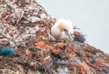 塑料廢棄物變黃金，科學家想將塑料變燃料-酷播亮新聞