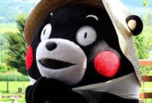 自家毛坯房子裝修順序！ 分享我的小筆記-酷播亮新聞