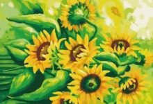 為什麼向日葵總是朝著太陽開花？-酷播亮新聞