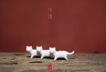 喵喵喵，沒有什麼能阻擋它們賣萌了-酷播亮新聞