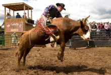 運動攝影師必知的10個技巧-酷播亮新聞