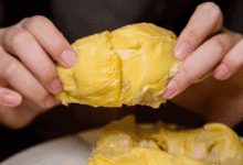 超香的榴槤吃法，據說99％的人都不知道！-酷播亮新聞