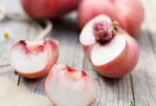 夏天多吃這水果，補血又養顏，愛美的女人不能錯過！-酷播亮新聞