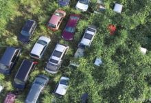 老人甘願生活在核輻射區保護動物-酷播亮新聞