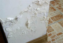 牆面返潮發霉怎麼處理 牆面返潮發霉兩大原因-酷播亮新聞