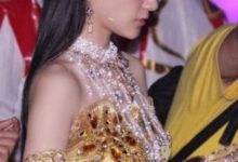 這屆金鷹女神你站誰？鄭爽張雪迎還是關曉彤？-酷播亮新聞