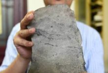 科學家於中國三峽發現最早足跡，距今已有6億年，已成化石！-酷播亮新聞