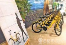 ofo回應裁員 表示裁員50%消息不實 ofo創始人怒髮朋友圈如此回應-酷播亮新聞