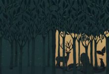 暖心卻憂傷的插畫，美到心底-酷播亮新聞