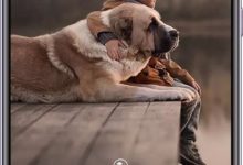 用好HUAWEI P20 Pro三項AI攝影技術，分分鐘變身攝影大咖！-酷播亮新聞