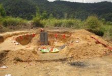 在祖墳附近做這5件事，嚴重破壞風水！-酷播亮新聞