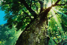 如畫〓吾生願：無憂、自由、向太陽-酷播亮新聞