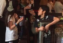 張柏芝外出遊玩只顧著和路人聊天，謝霆鋒大兒子被晾在一邊渾身尷尬！-酷播亮新聞