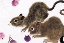 年輕時受苦受難, 中年後苦盡甘來, 發財之路一順百順!-酷播亮新聞