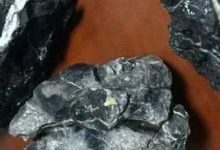 乾貨！20種造景石用法-酷播亮新聞