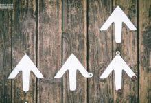 品牌的成長的4個階梯：為什麼騰訊、阿里不算是品牌？-酷播亮新聞