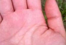 事業上平平無奇，難有成就的手相-酷播亮新聞