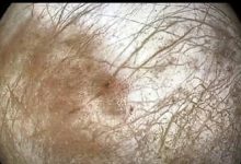 科學家在太陽系發現一個類似地球的循環系統，那裡或已孕育生命-酷播亮新聞