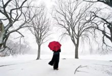 攝影 雨雪詩-酷播亮新聞