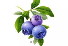 圖形創意原則與表現形式！有哪些？-酷播亮新聞