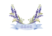 1800G資源之創意花素材包第七季-酷播亮新聞