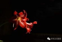 看懂這篇文，黑色背景信手拈來-酷播亮新聞