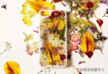如何用壓平的鮮花製作漂亮的iphone手機殼-酷播亮新聞