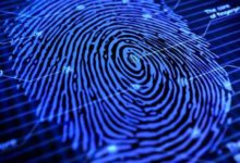 納米纖維感知面板微小電流, 最新指紋感測器技術升級!-酷播亮新聞