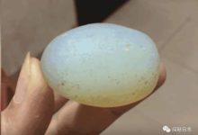 野鴨窩掏出一顆1斤石蛋，到晚上會放光，細看後男子不敢相信自己的眼睛-酷播亮新聞