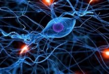 IBM專利水印技術保護AI模型的所有權-酷播亮新聞