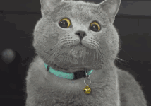 熱鬧的世界盃少不了愛湊熱鬧的 Google-酷播亮新聞