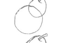 一步一步學畫梨-酷播亮新聞