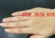 手掌大小、厚薄，看出你一生富貴的大小-酷播亮新聞